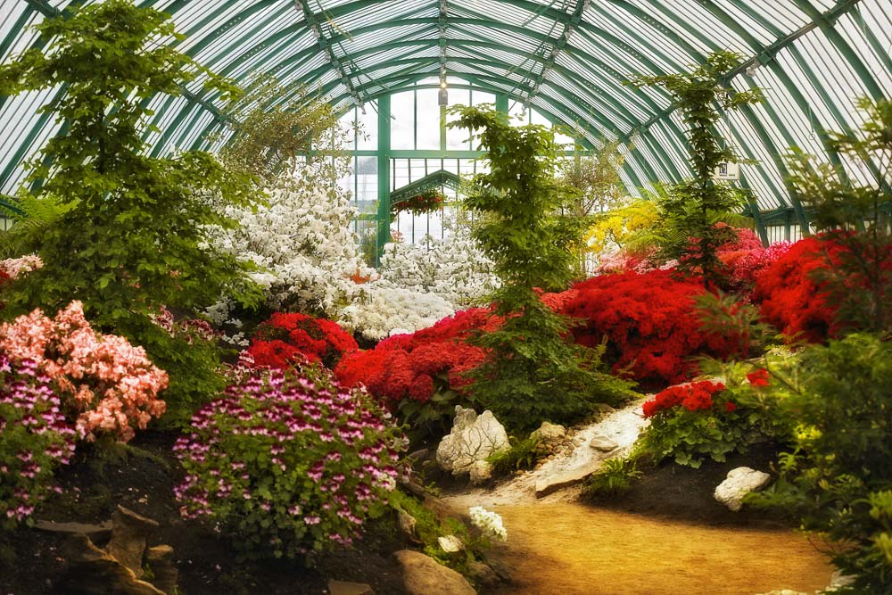 Photos Des Serres Royales De Laeken